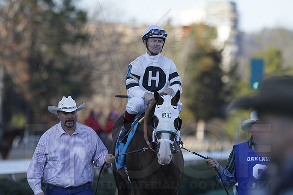 Oaklawn 1-21-13 (Smarty Jones Stakes) (Justin Manning)0281