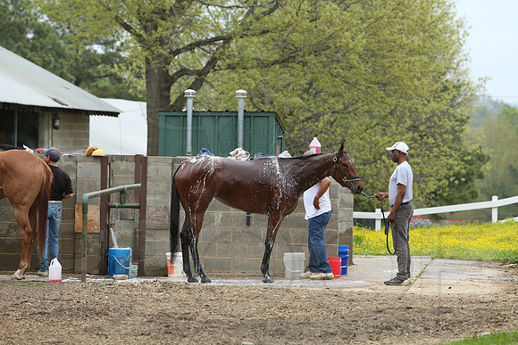 Arkansas Derby 4-11-2014 (© Justin Manning) JWM_0136
