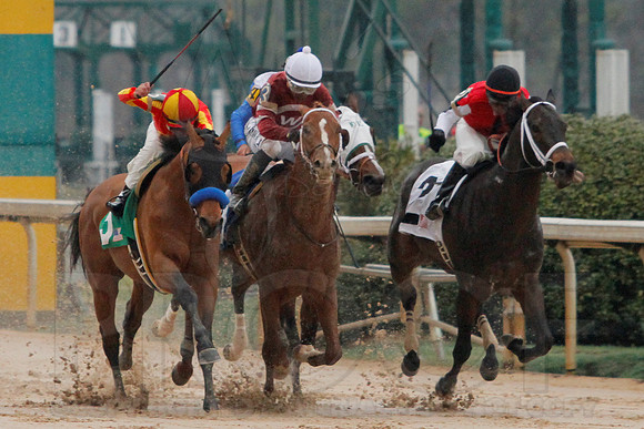 Rebel Stakes 3-15-14 3-15-2014 (© Justin Manning) JWM_0225
