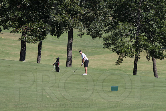 6-3A District golf(© Justin Manning) JWM0336