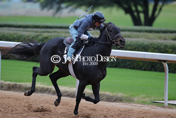 z250104_SmartyJonesStakesDay _JWM_0029