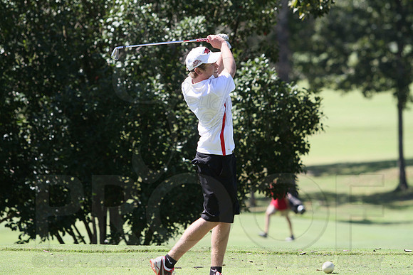 6-3A District golf(© Justin Manning) JWM0105