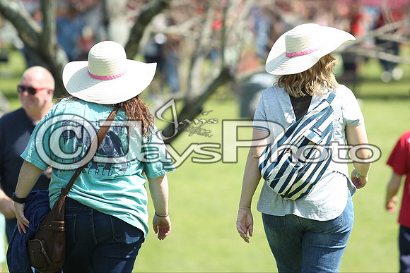 JWM_170318_RebelStakes_00107