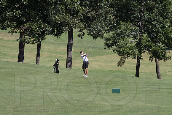 6-3A District golf(© Justin Manning) JWM0339