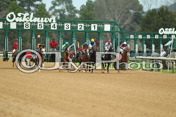 Southwest Stakes (GradeIII) 2-20-17_JWM00162