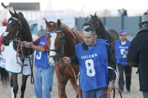 Oaklawn 1-21-13 (Smarty Jones Stakes) (Justin Manning)0071