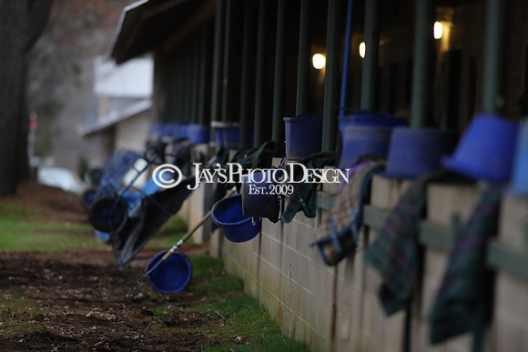 z250104_SmartyJonesStakesDay _JWM_0107