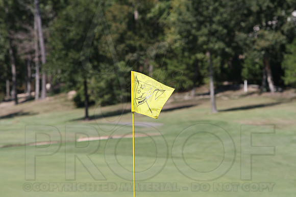 6-3A District golf(© Justin Manning) JWM0123