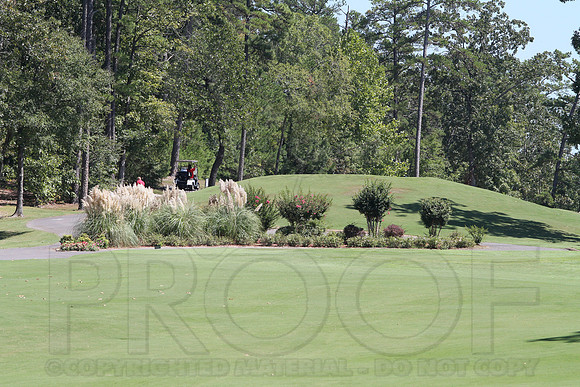 6-3A District golf(© Justin Manning) JWM0164