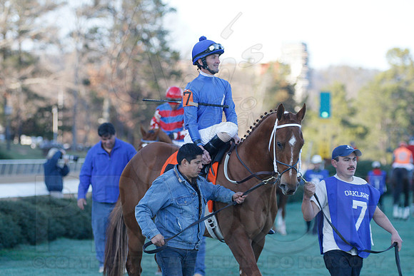 Oaklawn 1-21-13 (Smarty Jones Stakes) (Justin Manning)0136