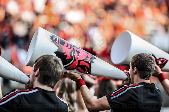 ASU @ Auburn 9-7-13 (© Justin Manning) JWM0205