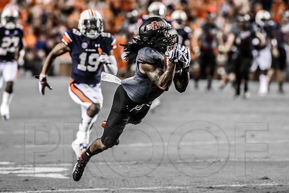 ASU @ Auburn 9-7-13 (© Justin Manning) JWM0312