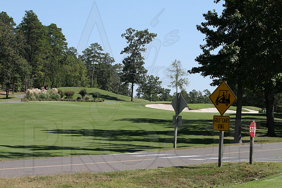 6-3A District golf(© Justin Manning) JWM0163