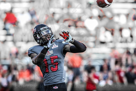 ASU @ Auburn 9-7-13 (© Justin Manning) JWM0127