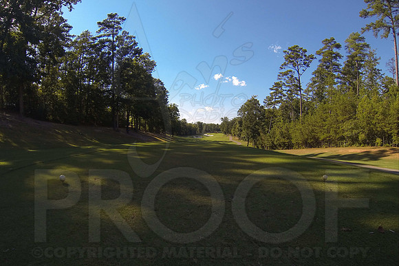 6-3A District golf(© Justin Manning) JWM0895