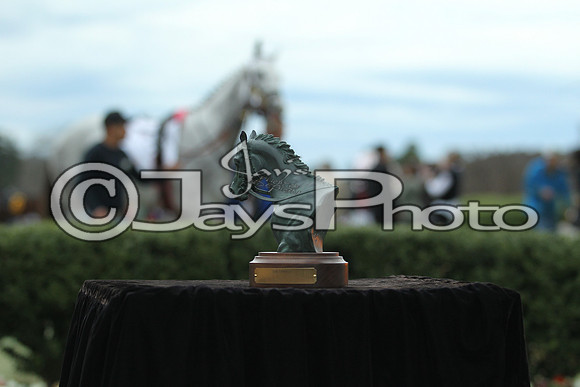 Southwest Stakes (GradeIII) 2-20-17_JWM00619