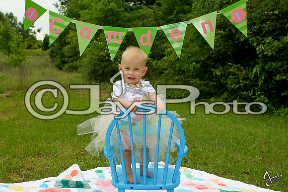 Camden's 1st Birthday pictures_0476