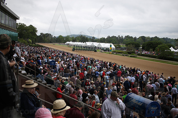 0124JWM_160416_arkansasderby_0124