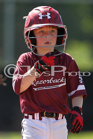 South Arkansas Razorbacks vs. Bryant Hornets (Game 2)_0012