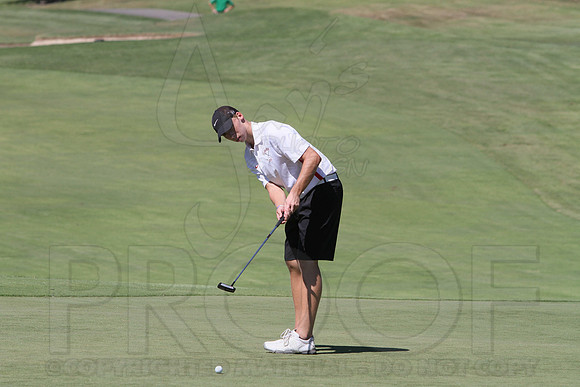6-3A District golf(© Justin Manning) JWM0133