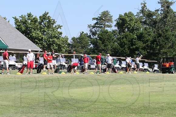 6-3A District golf(© Justin Manning) JWM0053