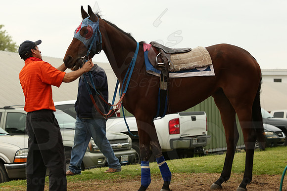 Arkansas Derby 4-11-2014 (© Justin Manning) JWM_0121