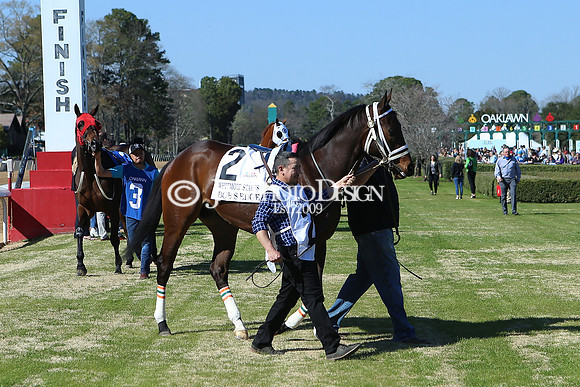 z220319_WhitmoreStakesday_Manning_0261