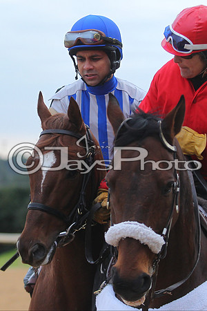 Oaklawn Smarty Jones Stakes 1-18-2016 (©Justin Manning) JWM_(0330