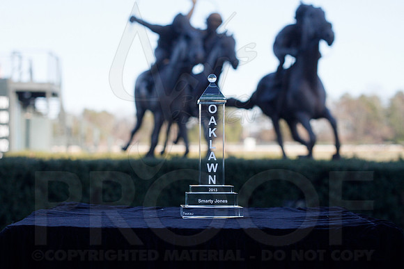 Oaklawn 1-21-13 (Smarty Jones Stakes) (Justin Manning)0078