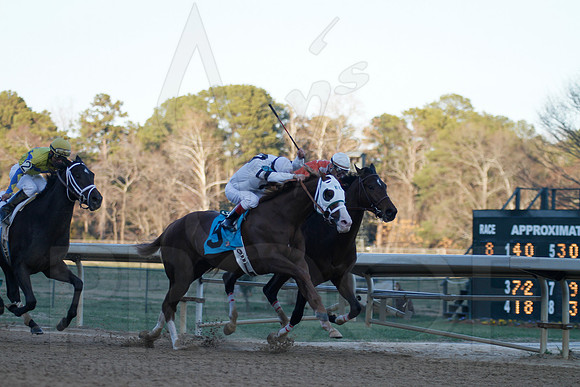 Oaklawn 1-21-13 (Smarty Jones Stakes) (Justin Manning)0291