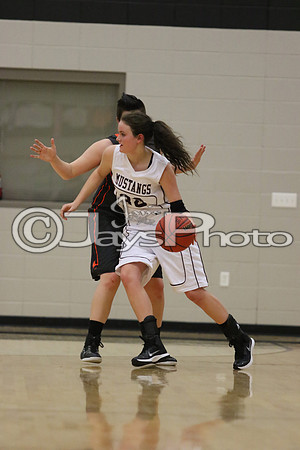 Lamar vs. Perryville Girls 3A State 3-6-2015 (©Justin Manning) JWM_136