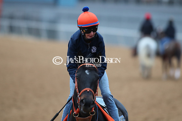 z250104_SmartyJonesStakesDay _JWM_0048
