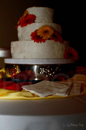 Stephens Wedding Reception 6-2-12 (Justin Manning)015