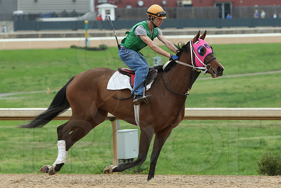 Arkansas Derby 4-11-2014 (© Justin Manning) JWM_0181