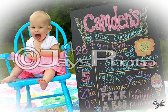 Camden's 1st Birthday pictures_0333-2