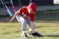 White Sox vs Angels 4-22-13 (©Justin Manning) JWM0011