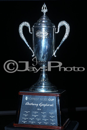 Forrest Wood Cup (Day 2) 8-21-2015 (©Justin Manning) JWM_001