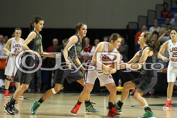 Nemo Vista vs. Wonderview 1A Girls State Finals 3-12-2015 (©Justin Manning) JWM_412
