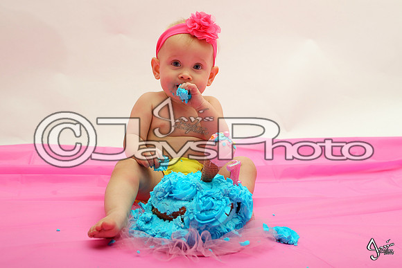 Camden's 1st Birthday pictures_0772