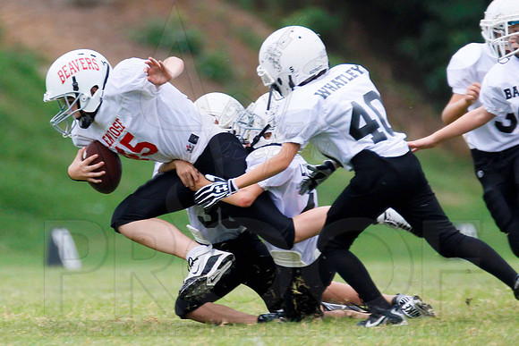 Pee Wee Jamboree 8-25-12 (Justin Manning)007