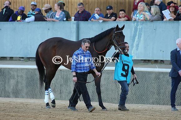 z220402_ArkansasDerbyday_Manning_JWM_1723