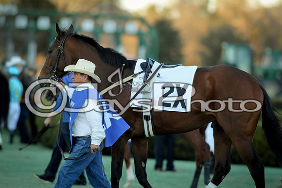 JWM_160215-southwest_0473