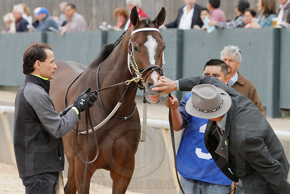 Fantasy Stakes 4-5-2014 (© Justin Manning) JWM_0400