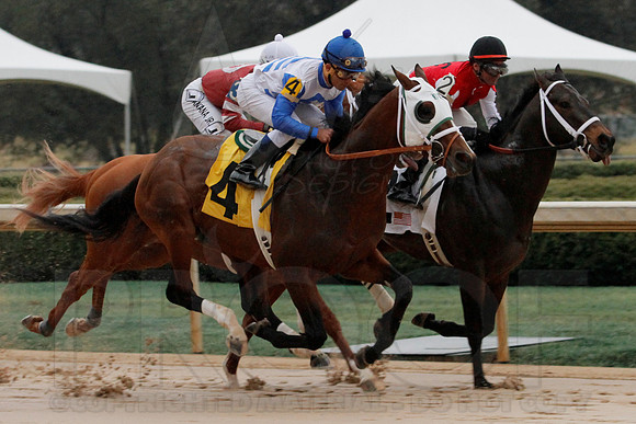 Rebel Stakes 3-15-14 3-15-2014 (© Justin Manning) JWM_0195