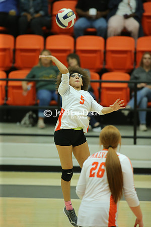 Camden Fairview @ Malvern JV_JWM_0369
