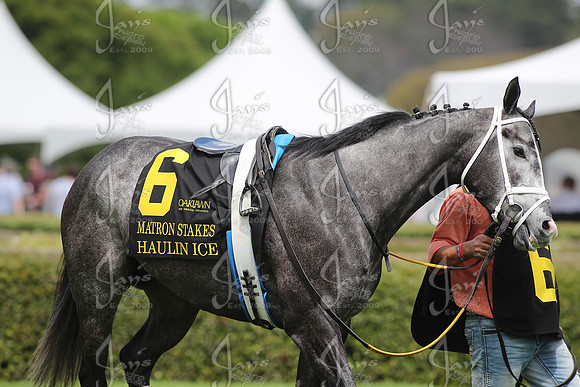 Arkansas Derby 3-29-25_JWM_0455