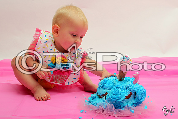 Camden's 1st Birthday pictures_0752