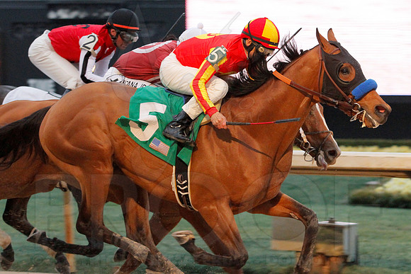 Rebel Stakes 3-15-14 3-15-2014 (© Justin Manning) JWM_0246