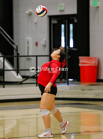 100EOS5D