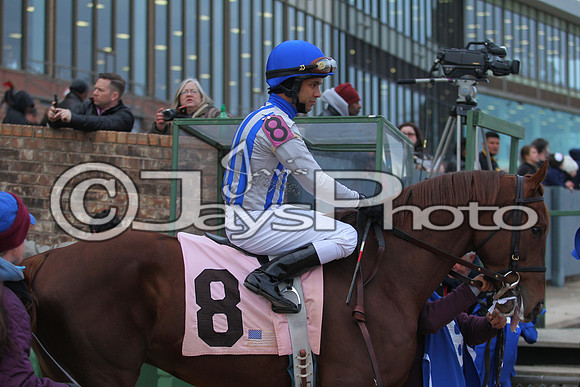 Oaklawn Smarty Jones Stakes 1-18-2016 (©Justin Manning) JWM_(0178